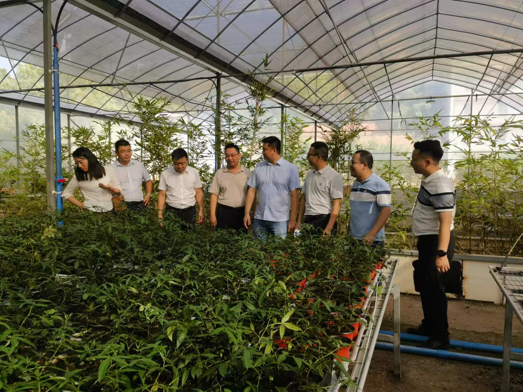 UAtS_1723805167205094538.png 图片1.png