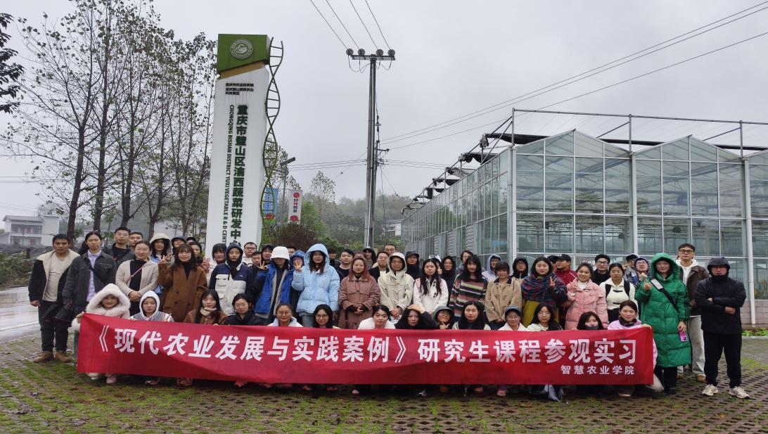 WBdb_1732670567718011219.png 图片3.png