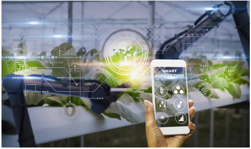 KsxO_1741407535949002996.png 1QQ20250308-121429.png