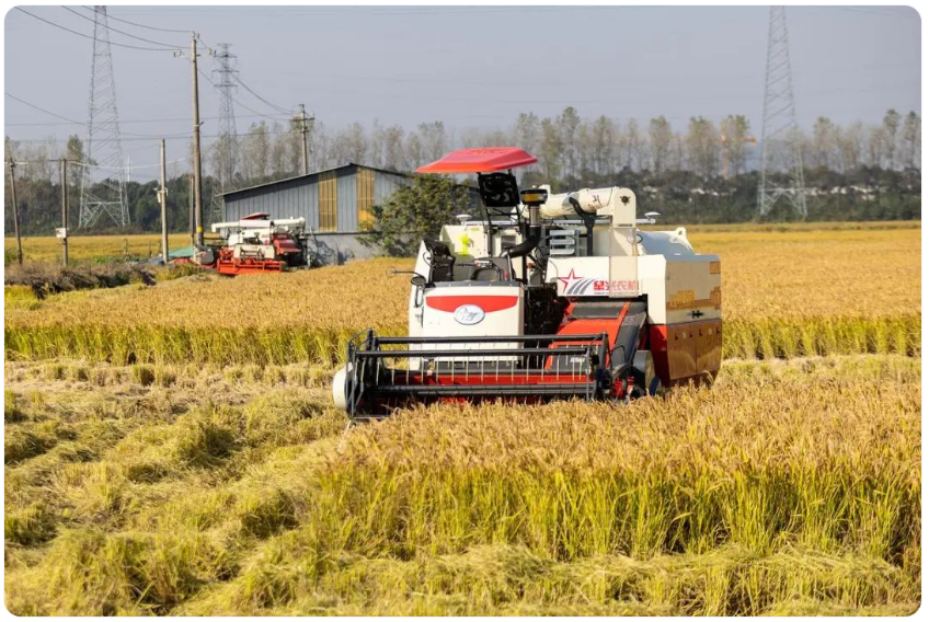 JLOF_1741876717218071455.png 学术动态3.13-3.png