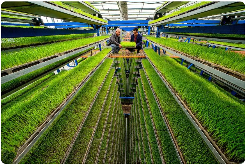 vaDU_1741876664102041928.png 学术动态3.13-1.png