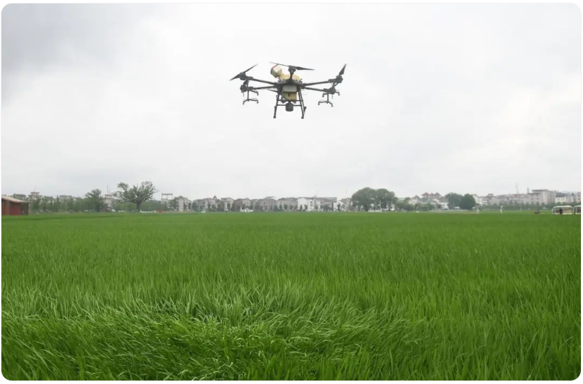 yuCo_1741876693390071639.png 学术动态3.13-2.png