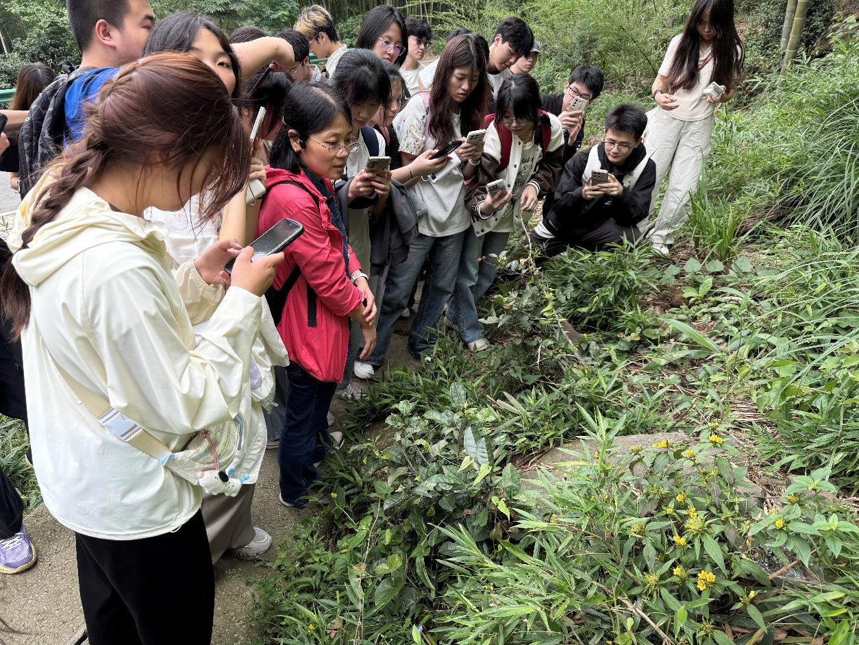 jLhQ_1748940581749089539.png 图片1.png