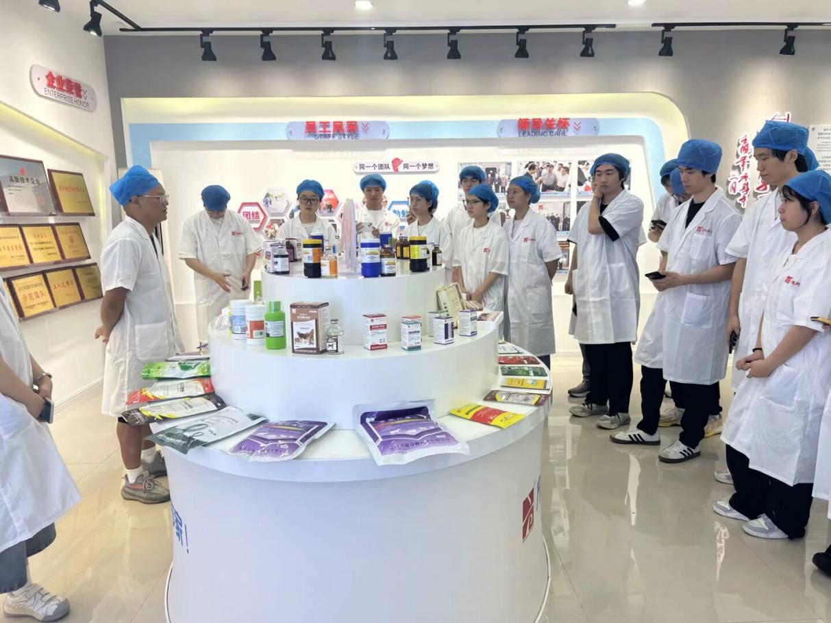 UaDe_1749000232263031035.png 图片1.png