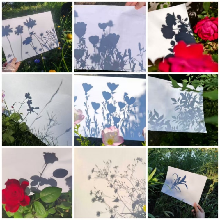 absG_1750062195767064822.jpg 图片1.jpg