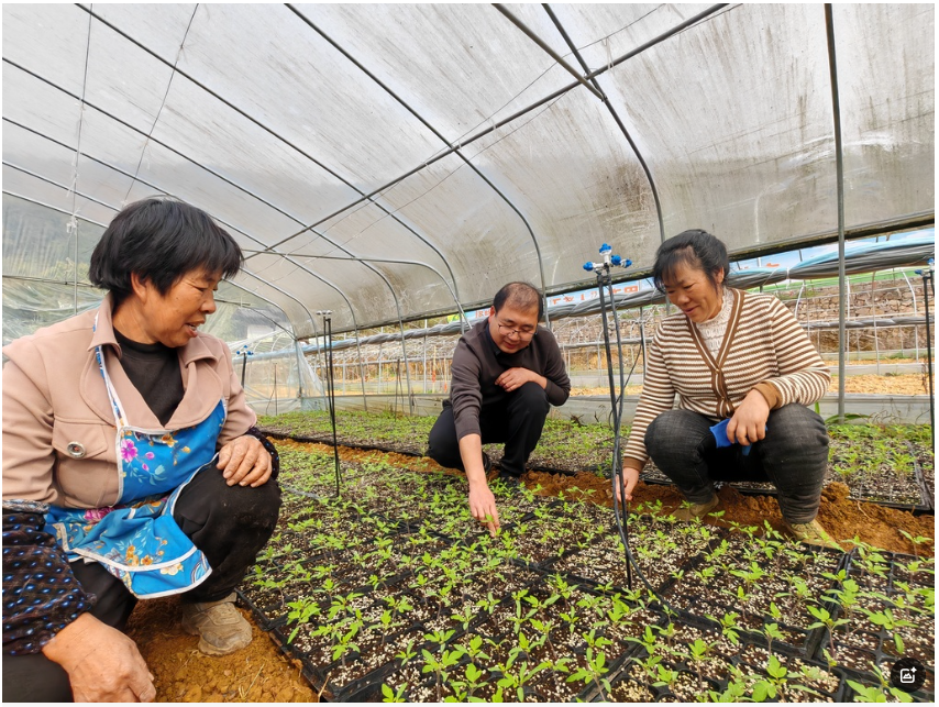 GlQx_1750914236135039017.png 姜玉松3-360截图20250626125642.png