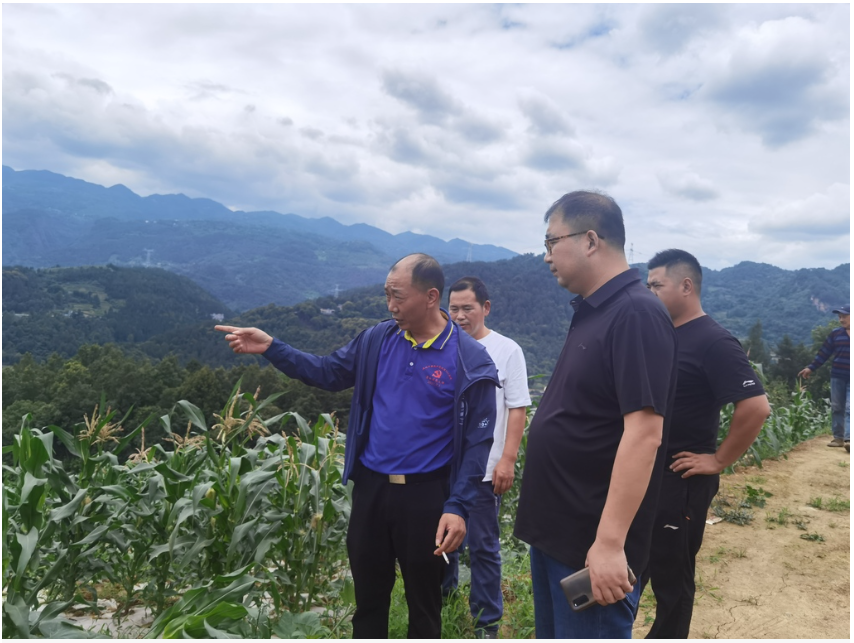 Wmgj_1750914215954085232.png 姜玉松2-360截图20250626125452.png