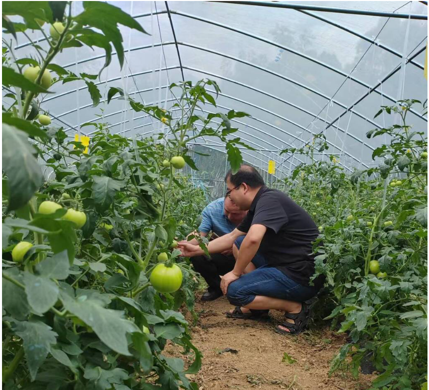 zDVG_1750914281949056800.png 姜玉松5-360截图20250626125744.png