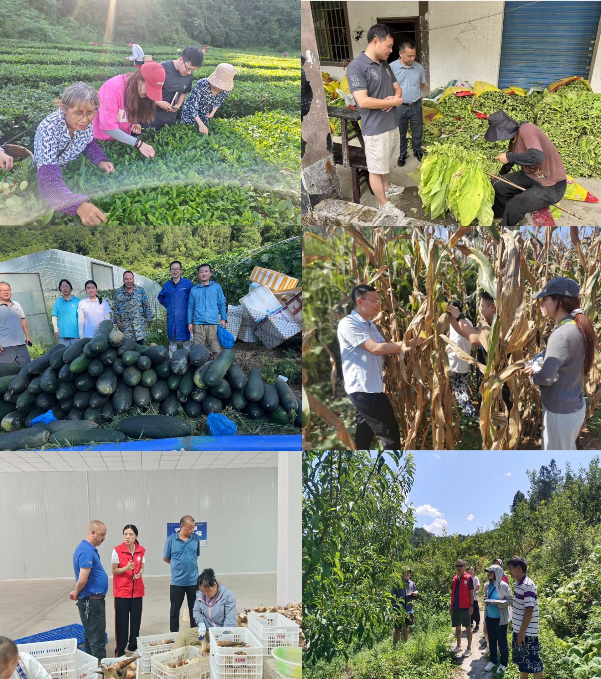 FTwr_1754978104417003786.png 图片2.png