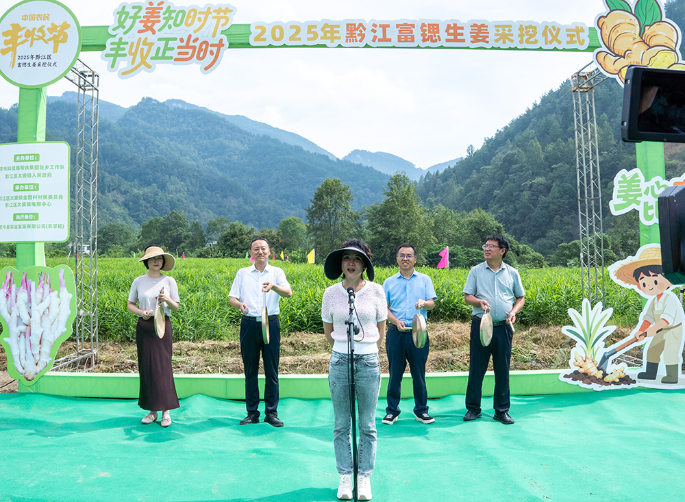 Khft_1758260596795086000.jpg 1.jpg