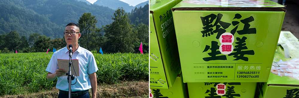 YqSR_1758260606970012926.jpg 2.jpg