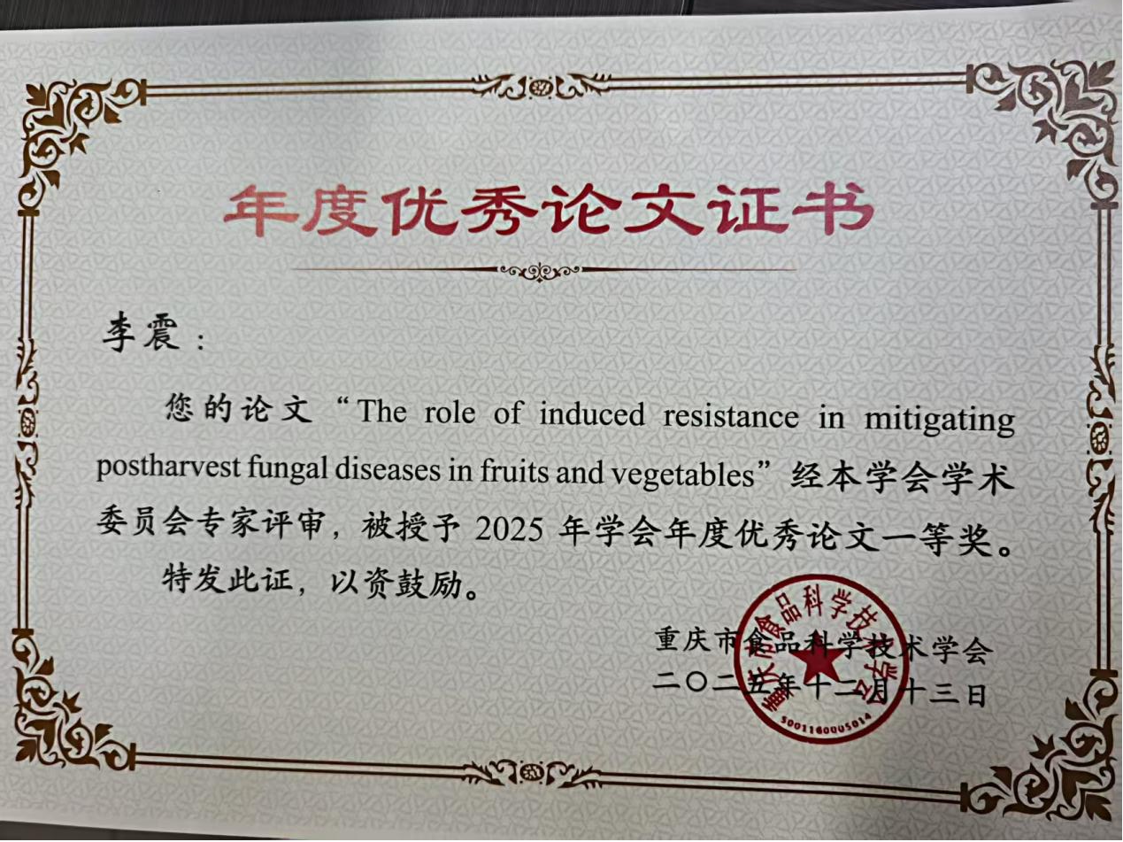 iWPx_1765788277393025820.png