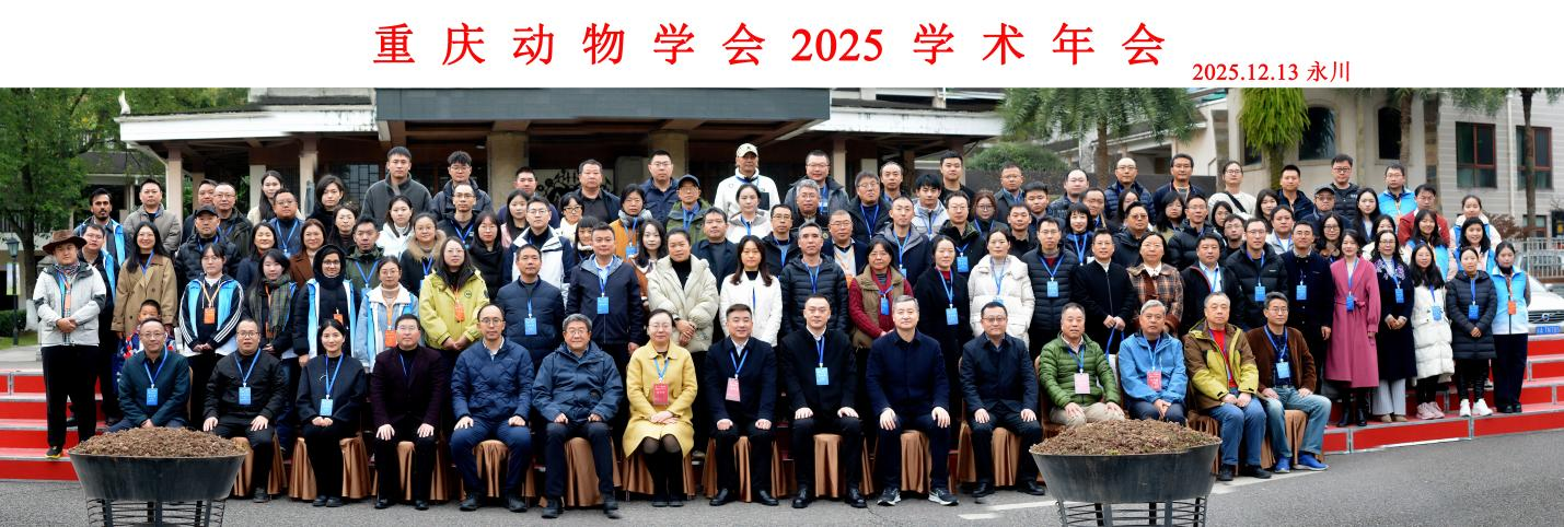 gsmT_1765869201092009363.png 图片4.png