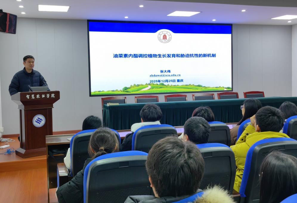 rMhB_1766969131327084882.png 图片1.png