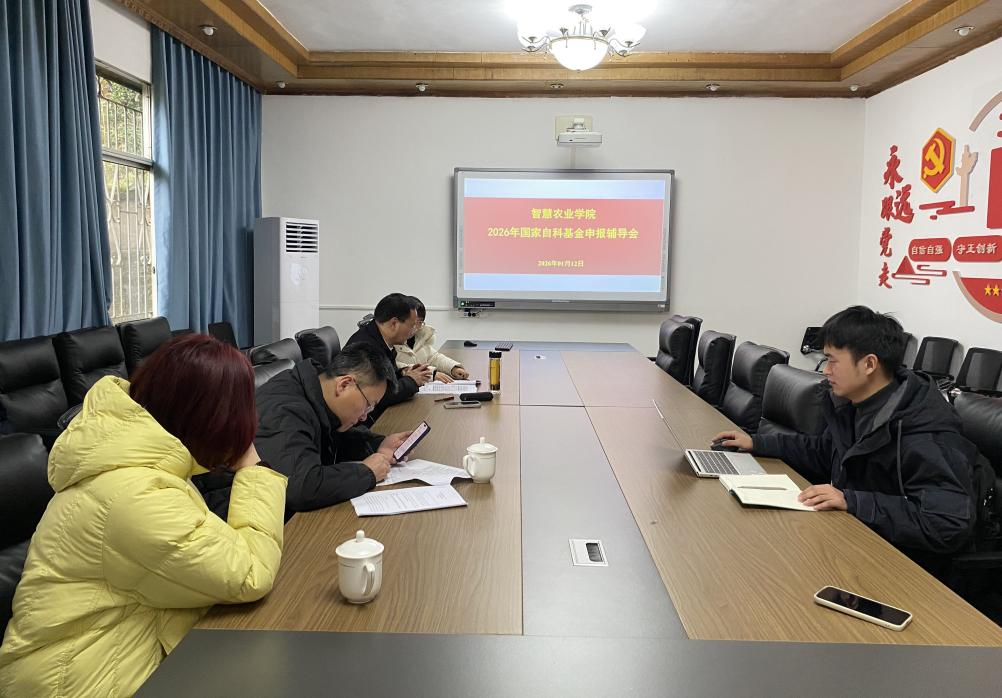 aYGS_1768267110012011923.png 图片5.png