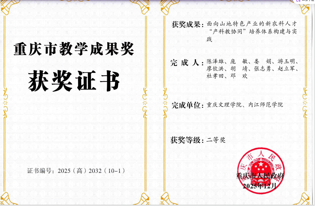 2025年重庆市教学成果二等奖.png