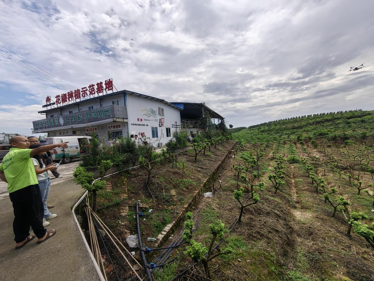 AUZv_1783495041757069876.png 图片3.png