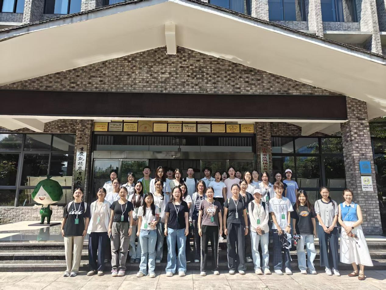 Zzne_1783495017853026312.png 图片1.png