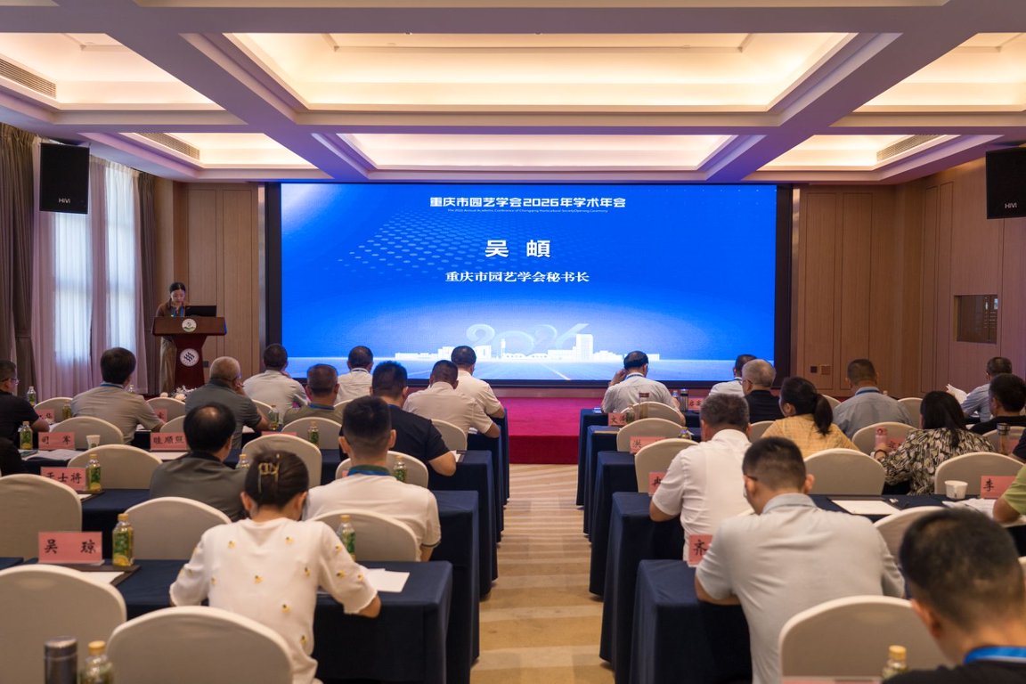 YSeD_1783851836283086609.jpg 秘书长报告.jpg