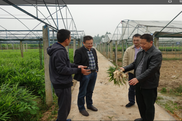 1508986163411017389.png 1.png