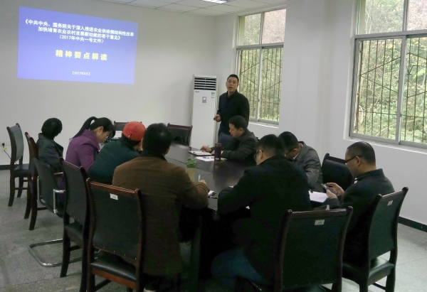 1490852497532036228.jpg IMG_20170327_101329.jpg